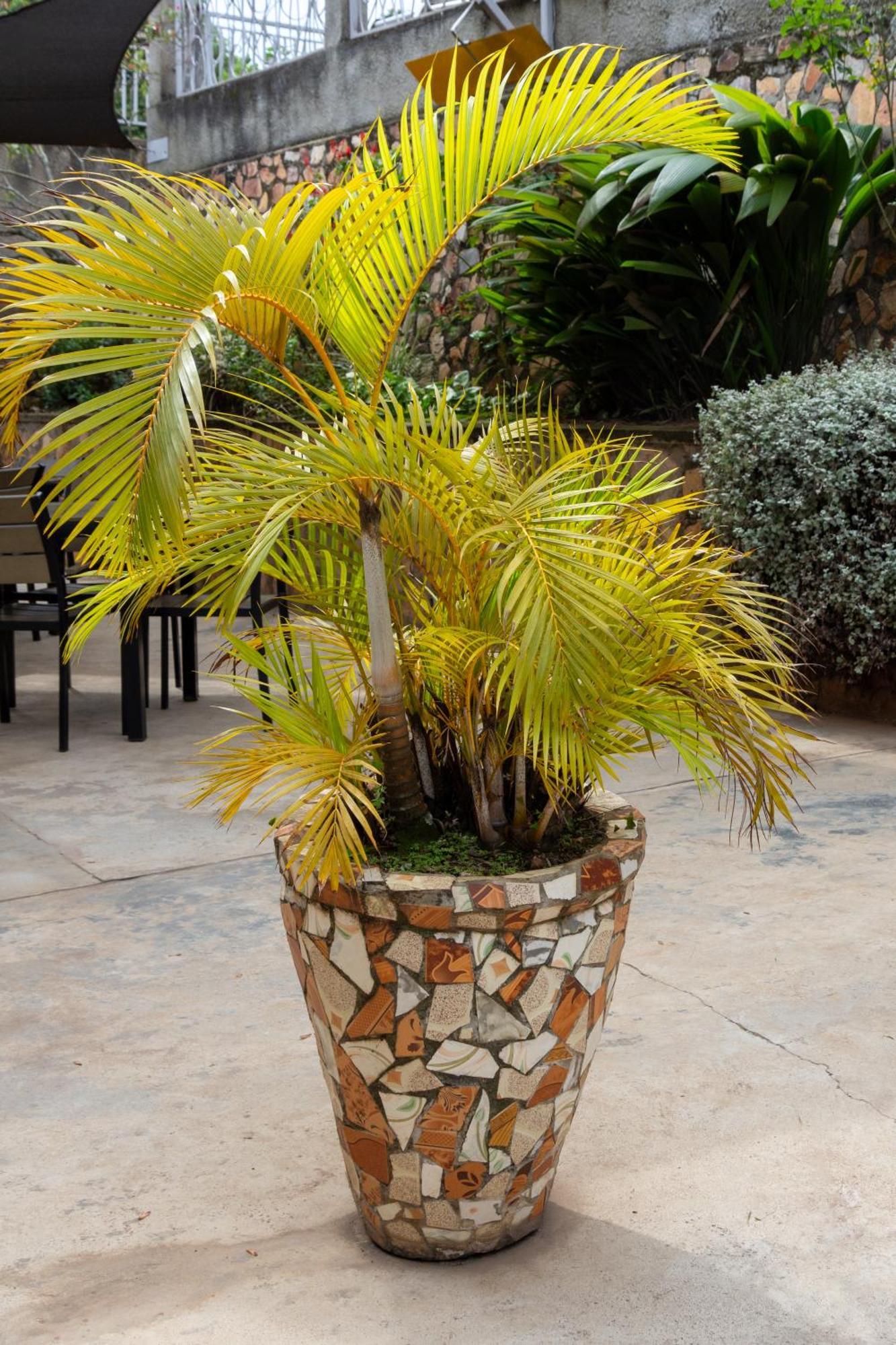 Fort Portal Dutchess Hotel And Restaurant מראה חיצוני תמונה