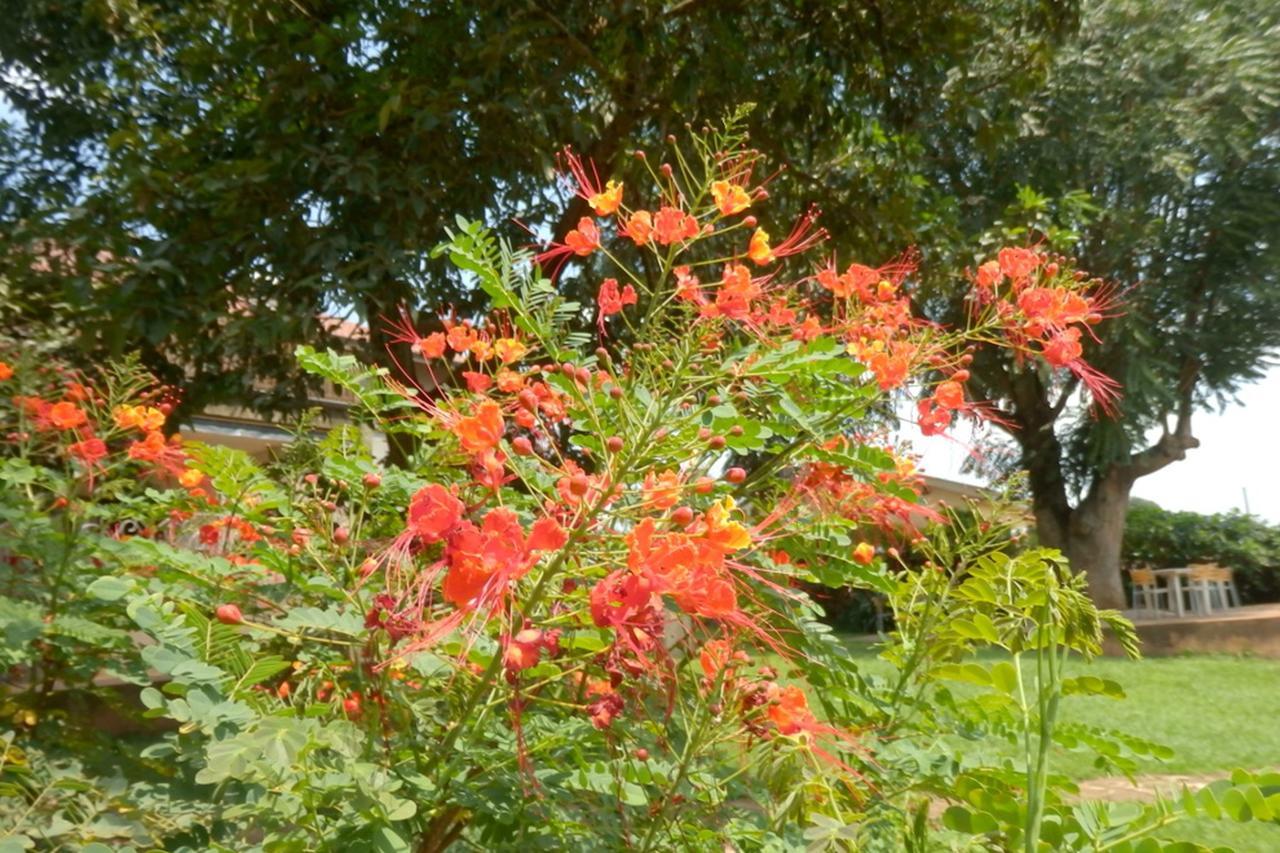Fort Portal Dutchess Hotel And Restaurant מראה חיצוני תמונה